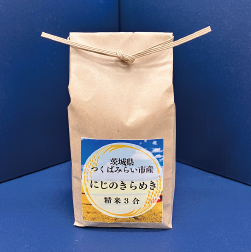 つくばみらい市