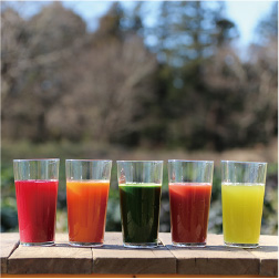 株式会社ベルファーム