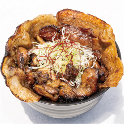 シン・かしまし豚丼