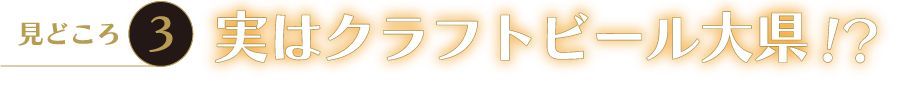 実はクラフトビール大県